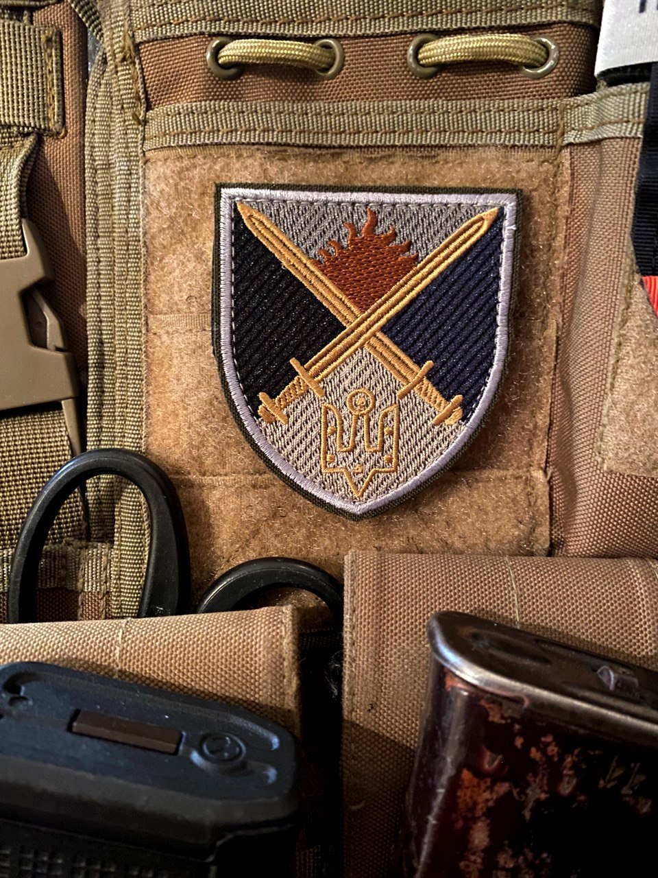 <strong>Шеврон "Нарукавний знак 169-й навчальний центр «Десна»".</strong>