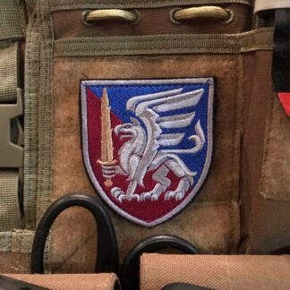 <strong>Шеврон " 81 ОДШБр ДШВ ЗСУ" парадний</strong>